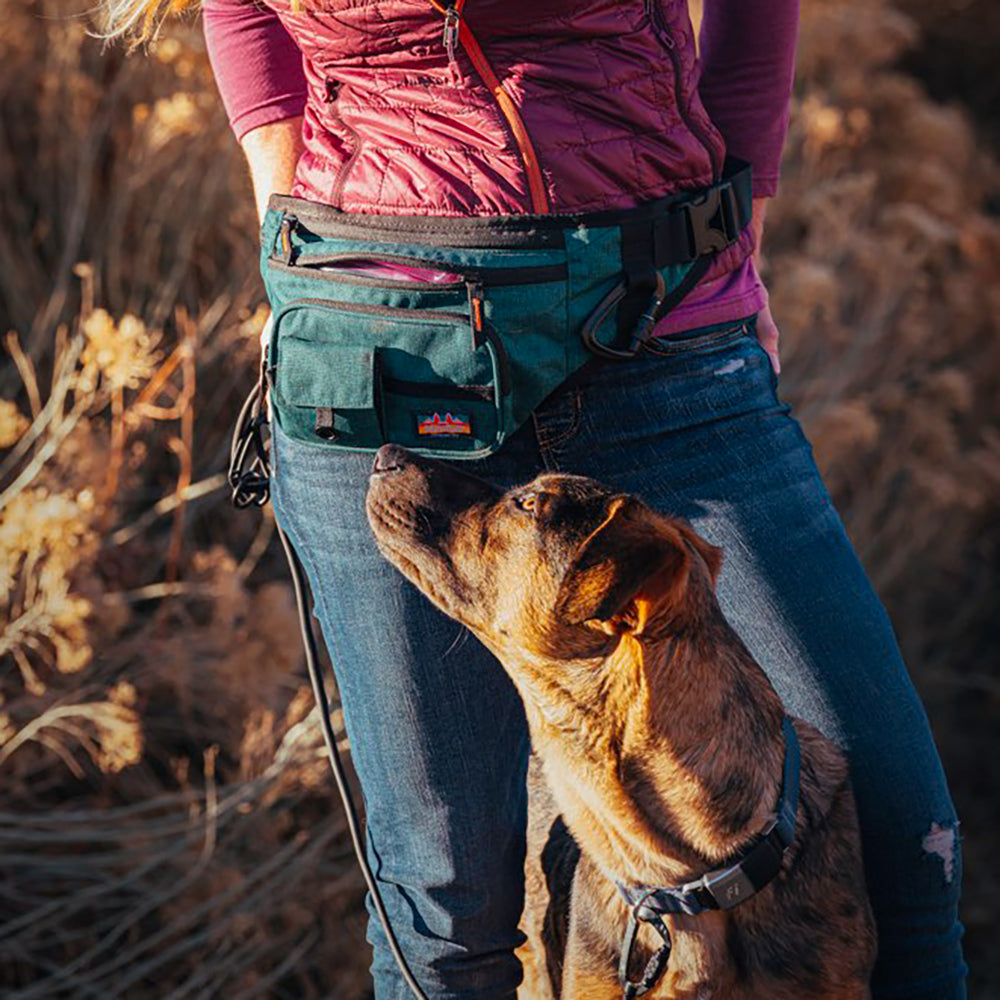 Sidekick Hip Pack™ | Multiple Colors – MuttRuk
