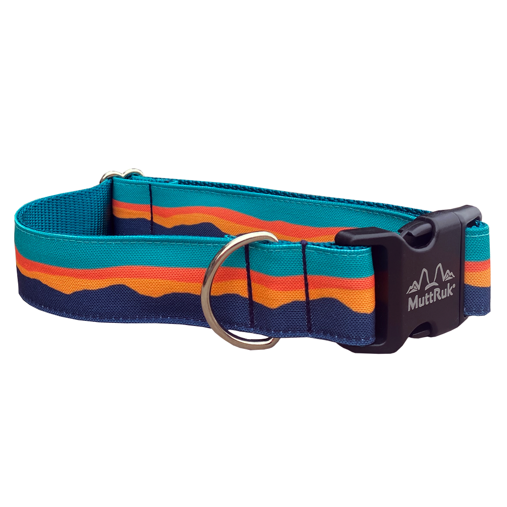 
                  
                    Afterglow Collar | Multiple Sizes
                  
                