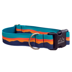 
                  
                    Afterglow Collar | Multiple Sizes
                  
                