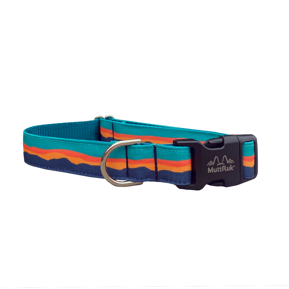 
                  
                    Afterglow Collar | Multiple Sizes
                  
                