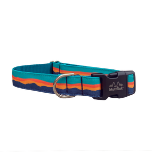 
                  
                    Afterglow Collar | Multiple Sizes
                  
                