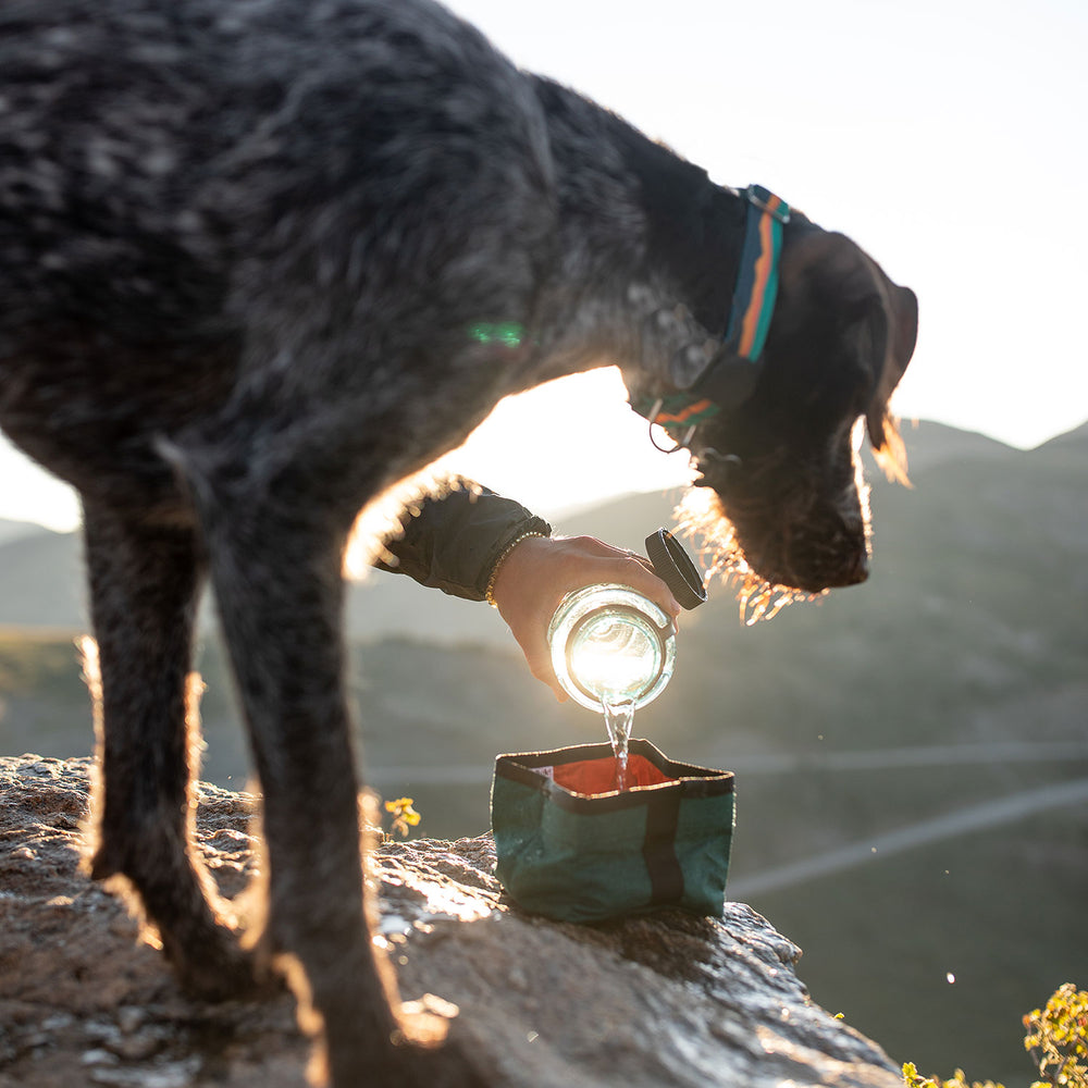 
                  
                    Hit the Trail Bundle™ | Multiple Colors
                  
                