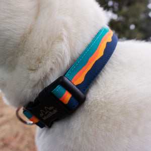 
                  
                    Afterglow Collar | Multiple Sizes
                  
                