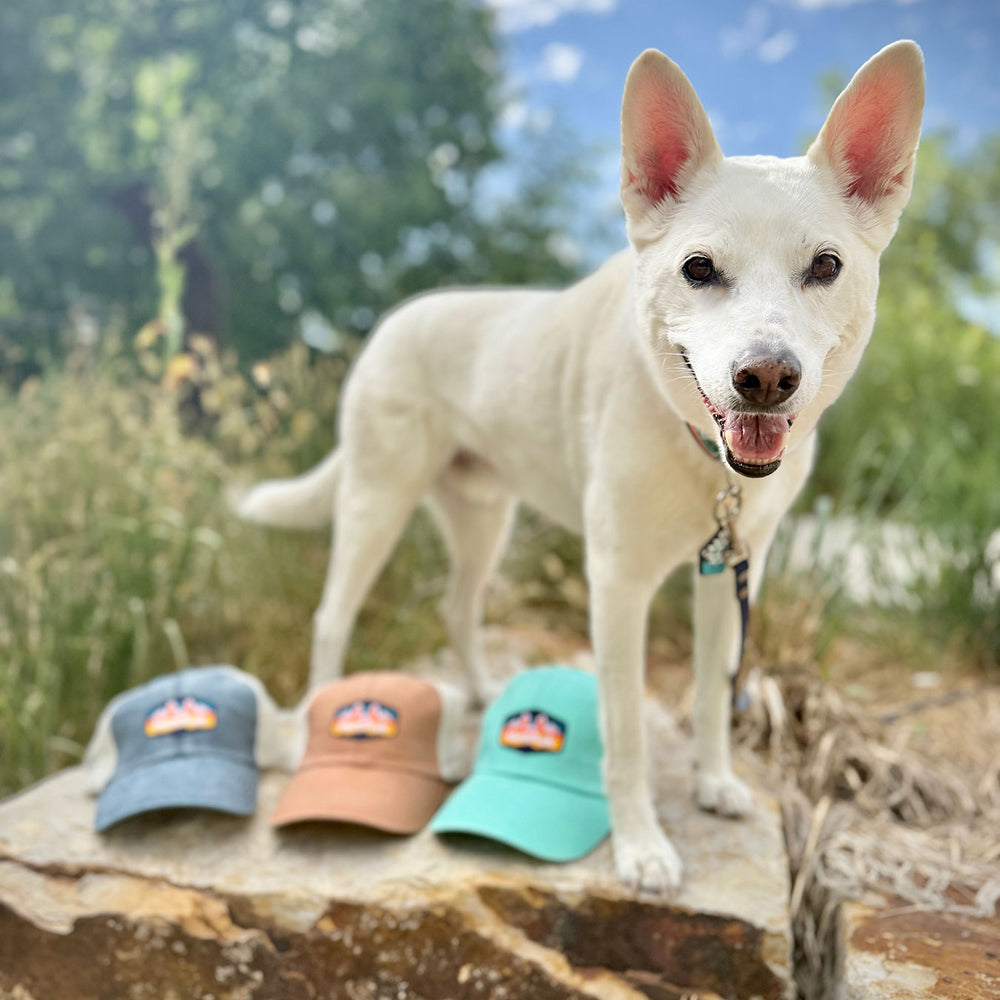 
                  
                    Classic Unstructured Trucker | Multiple Colors
                  
                