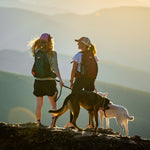 Two people with dogs standing on a mountain top at sunset