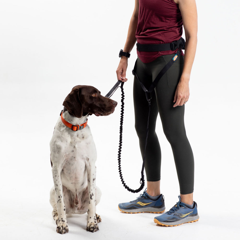 
                  
                    Pacer™ Belt and Leash Bundle | Multiple Colors
                  
                