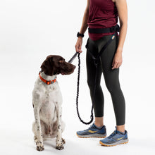 Load image into Gallery viewer, Pacer™ Belt and Leash Bundle | Multiple Colors
