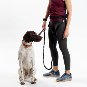 
                  
                    Pacer™ Belt and Leash Bundle | Multiple Colors
                  
                