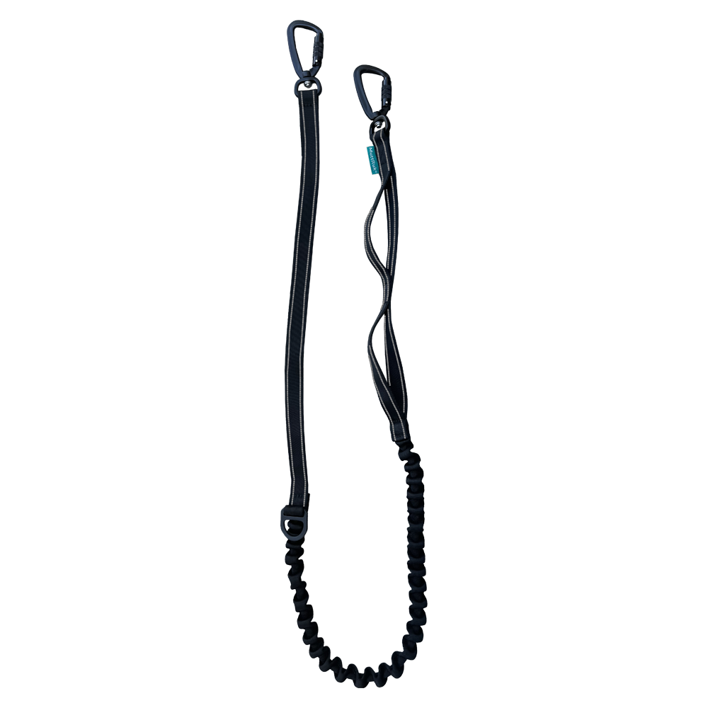
                  
                    Pacer™ Bungee Leash | Multiple Colors
                  
                