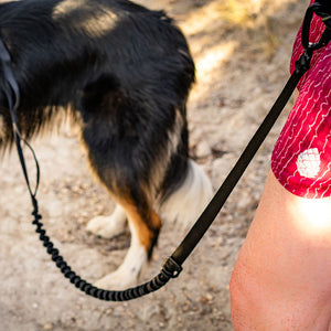 
                  
                    Pacer™ Bungee Leash | Multiple Colors
                  
                