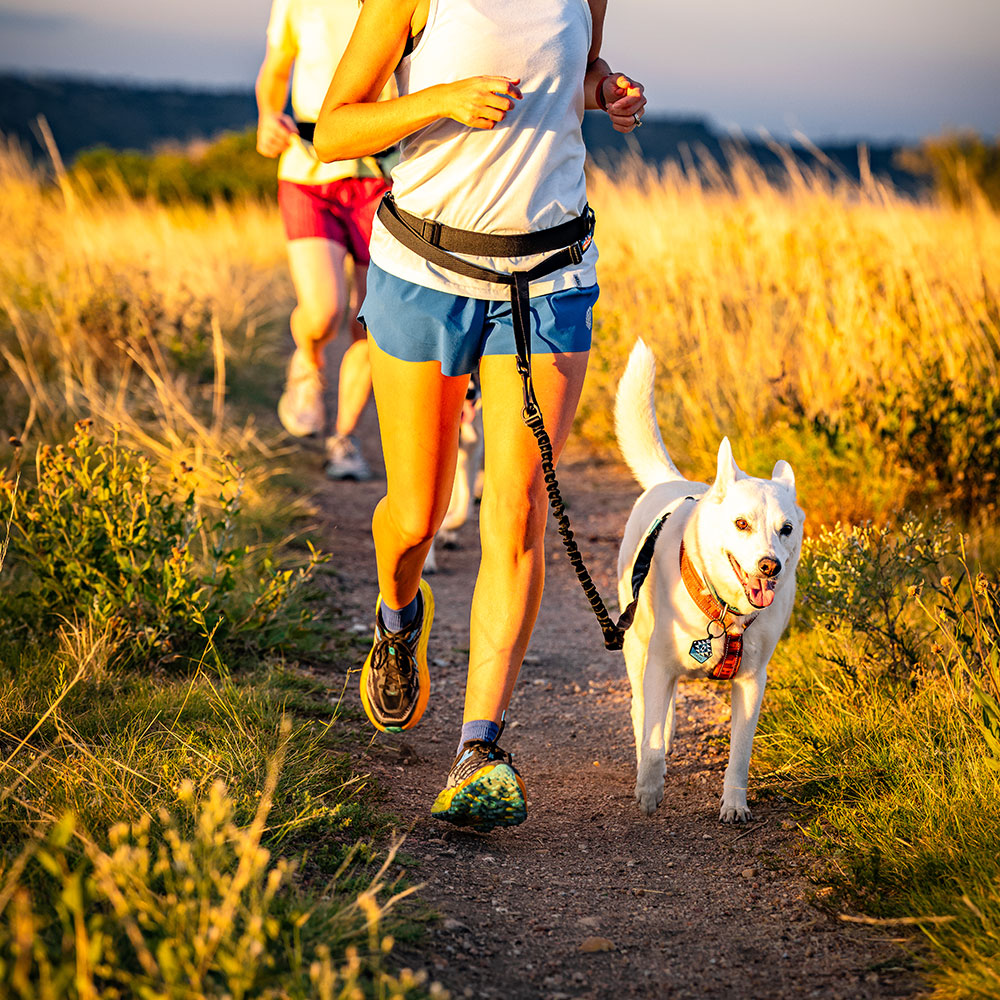 
                  
                    Pacer™ Bungee Leash | Multiple Colors
                  
                