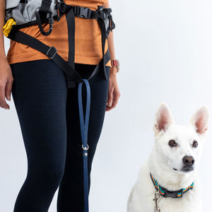 
                  
                    Pacer™ Hands-Free Pack Line
                  
                