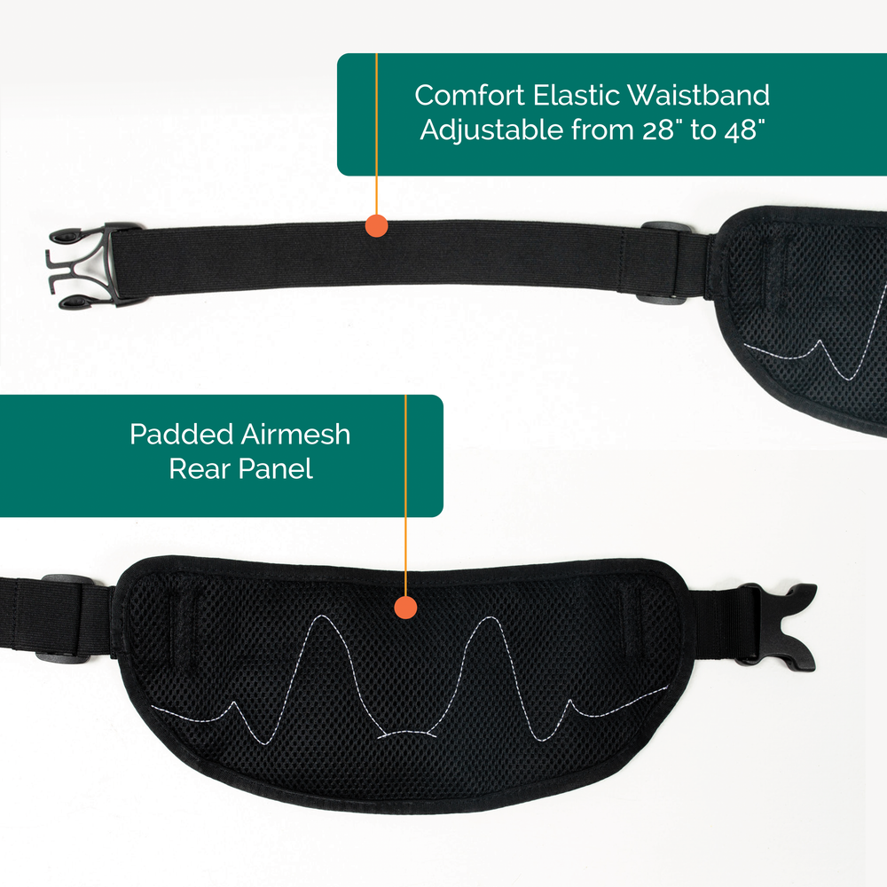 
                  
                    Pacer™ Belt and Leash Bundle | Multiple Colors
                  
                