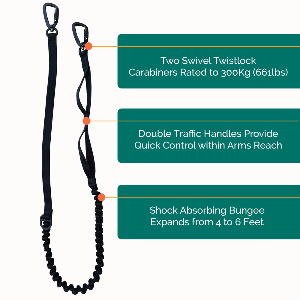 
                  
                    Pacer™ Bungee Leash | Multiple Colors
                  
                