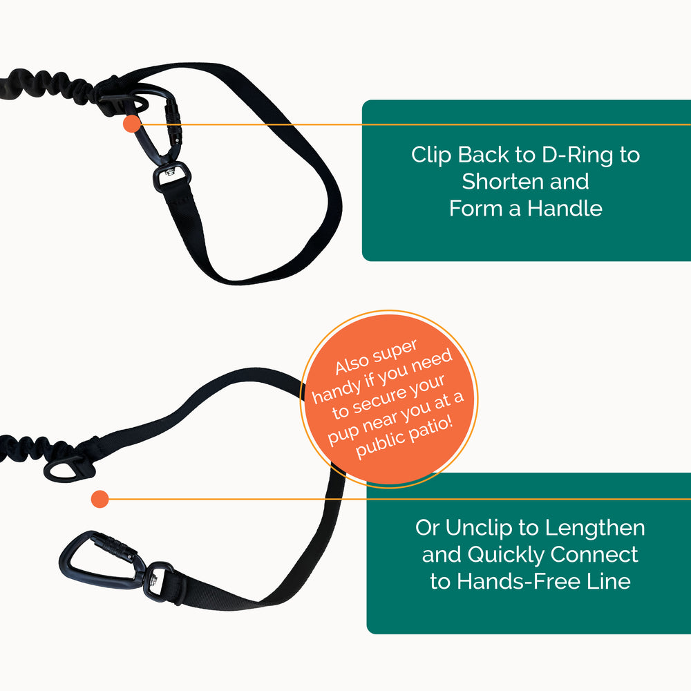 
                  
                    Pacer™ Bungee Leash | Multiple Colors
                  
                