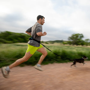 
                  
                    Pacer™ Belt and Leash Bundle | Multiple Colors
                  
                