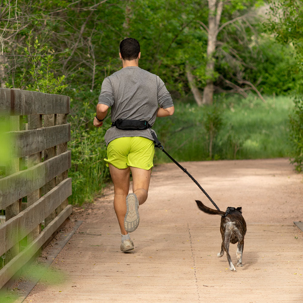 
                  
                    Pacer™ Belt and Leash Bundle | Multiple Colors
                  
                