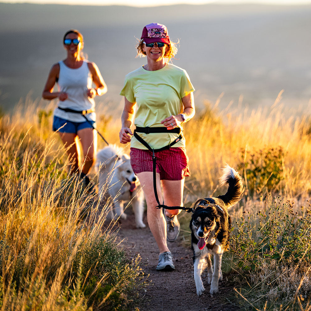 
                  
                    Pacer™ Belt and Leash Bundle | Multiple Colors
                  
                