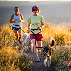 
                  
                    Pacer™ Belt and Leash Bundle | Multiple Colors
                  
                