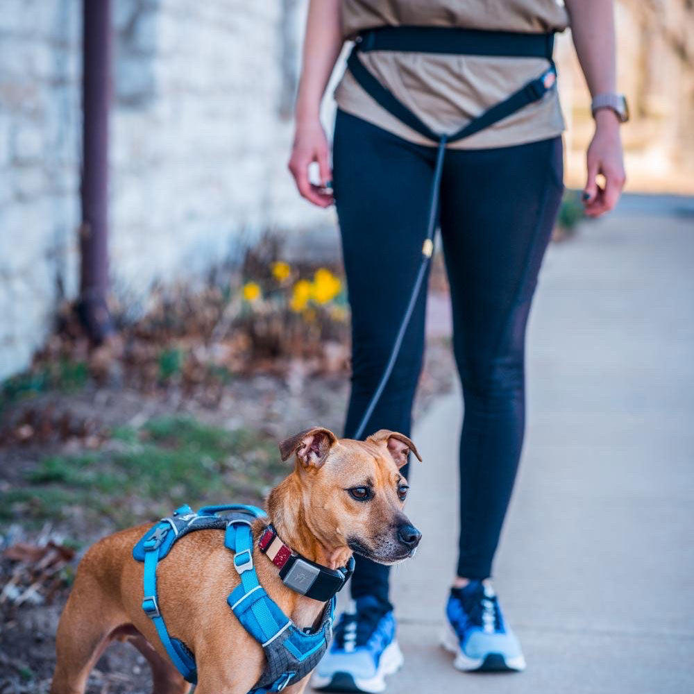 
                  
                    Pacer™ Hands-Free Waist Belt
                  
                