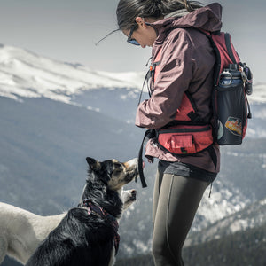 
                  
                    1st Generation Phoenix 14L Backpack™ | Granite Gray
                  
                