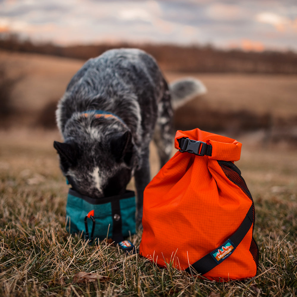 
                  
                    Rolltop Stash Sack™
                  
                