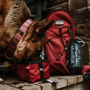 
                  
                    Hit the Trail Bundle™ | Multiple Colors
                  
                