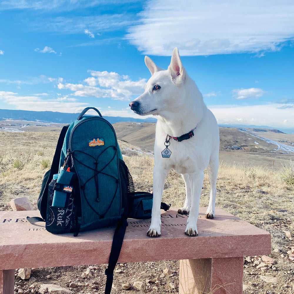 
                  
                    Hit the Trail Bundle™ | Multiple Colors
                  
                