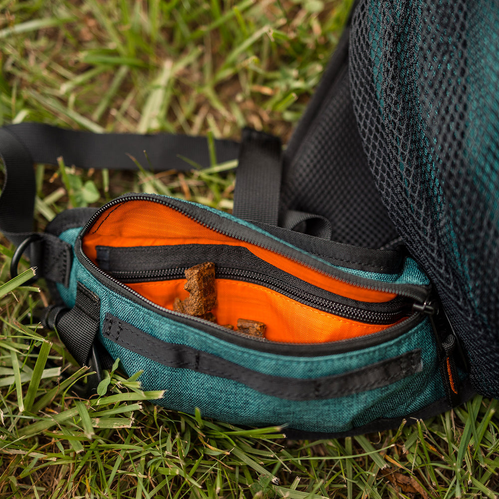 
                  
                    Phoenix 18L Backpack™ | Multiple Colors
                  
                