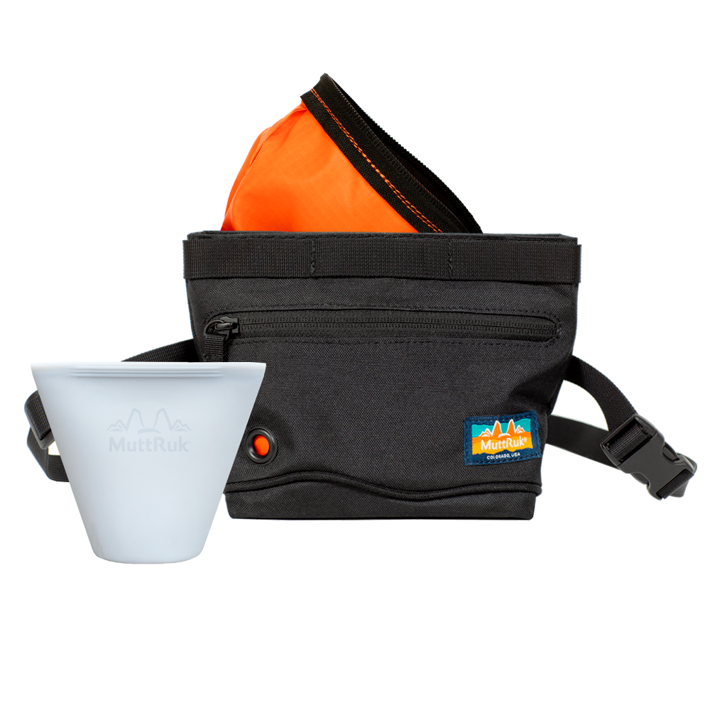 
                  
                    Penny Changer™ Training Bundle | Multiple Colors
                  
                