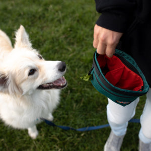 
                  
                    Penny Changer™ Treat Pouch | Multiple Colors
                  
                