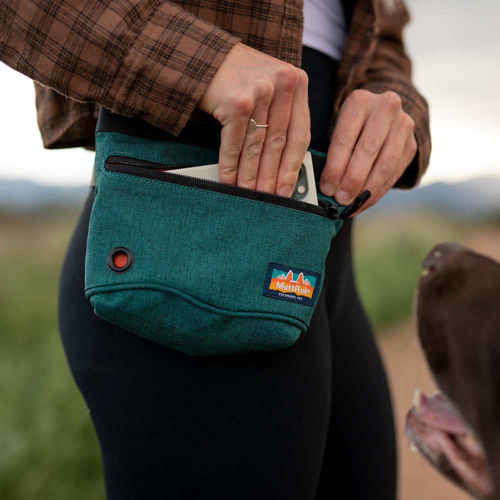 
                  
                    Penny Changer™ Treat Pouch | Multiple Colors
                  
                