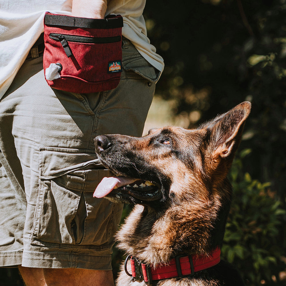 
                  
                    Penny Changer™ Treat Pouch | Multiple Colors
                  
                