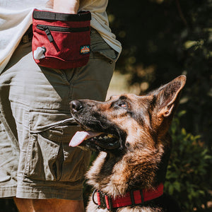 
                  
                    Penny Changer™ Treat Pouch | Multiple Colors
                  
                