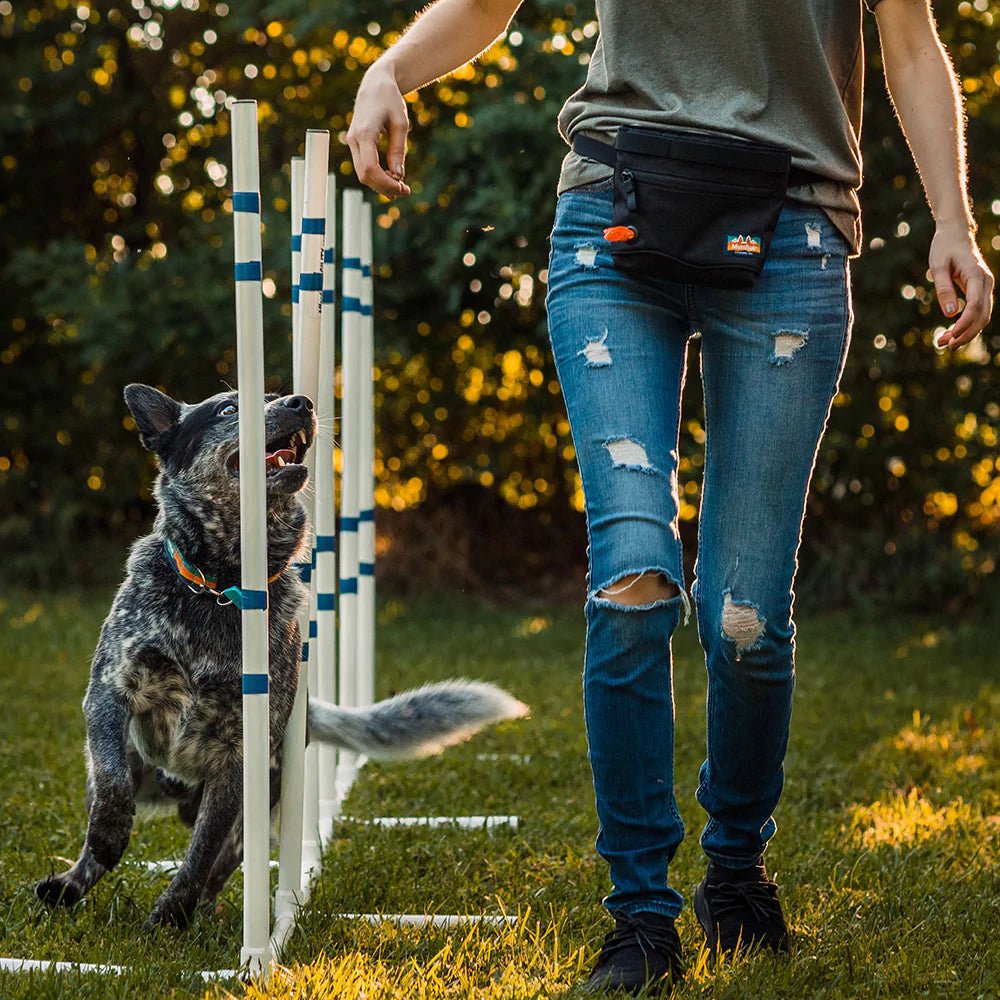 
                  
                    Penny Changer™ Training Bundle | Multiple Colors
                  
                