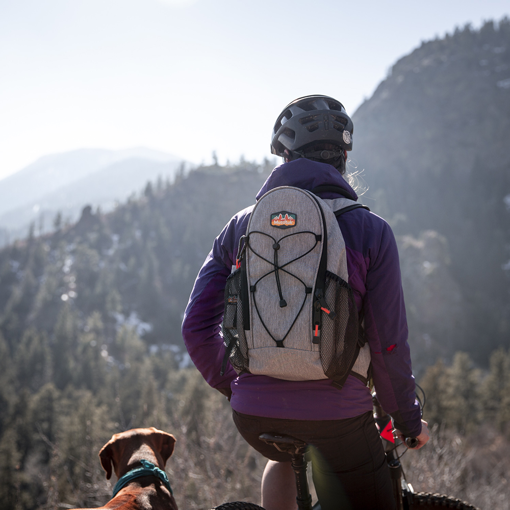 Phoenix 14L Backpack Multiple Colors MuttRuk