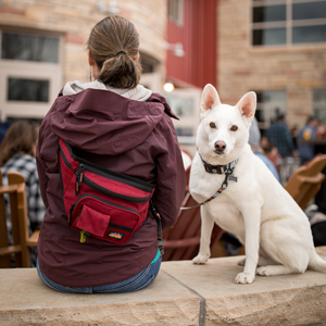 
                  
                    Sidekick Hip Pack™ | Multiple Colors
                  
                