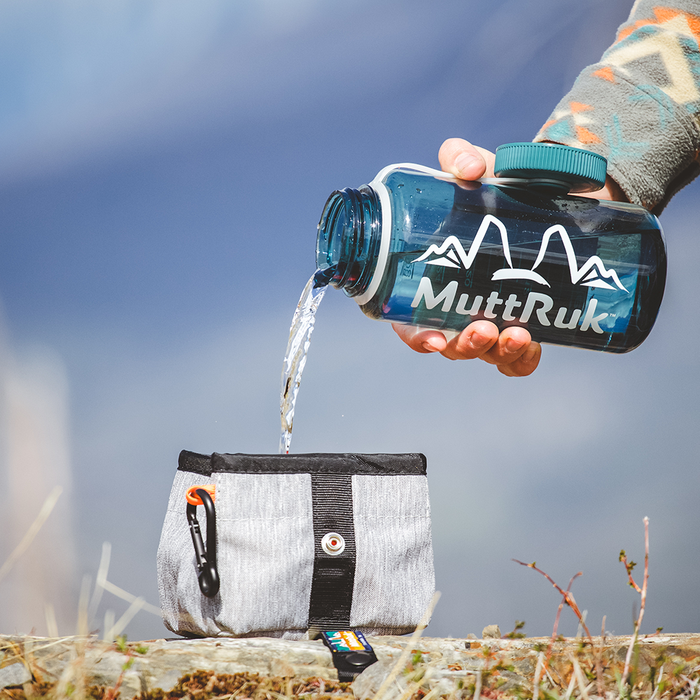 
                  
                    Rollout Travel Bowl™ | Multiple Colors
                  
                