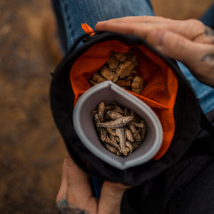 
                  
                    Penny Changer™ Training Bundle | Multiple Colors
                  
                